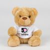 Bear in a t-shirt Thumbnail