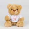 Bear in a t-shirt Thumbnail