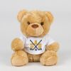 Bear in a t-shirt Thumbnail