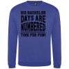Pro sweatshirt Thumbnail